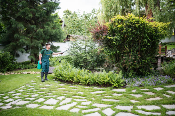 Best Flea Control Services  in Ames Lake, WA