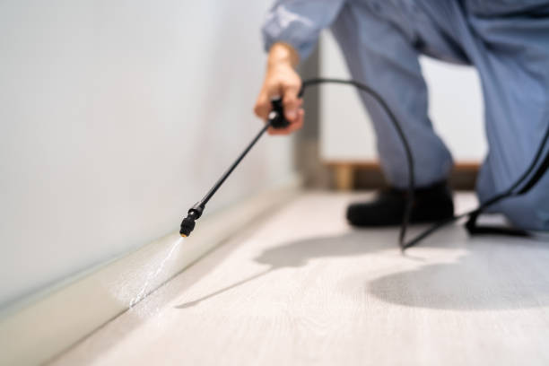 Best Flea Control Services  in Ames Lake, WA