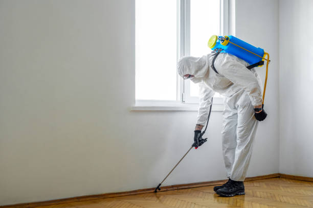 Best Best Pest Control Companies  in Ames Lake, WA