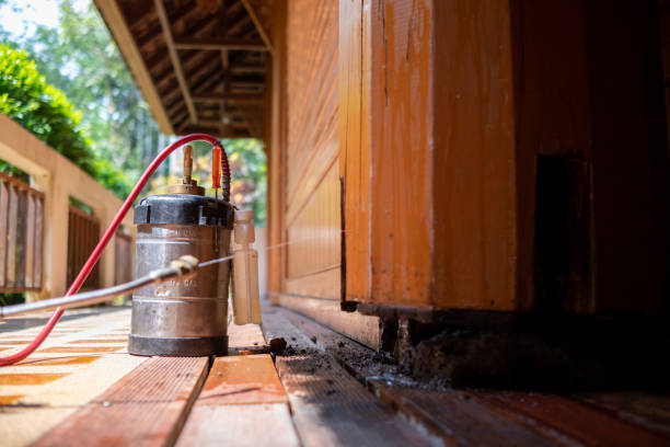 Best Pest Prevention Services  in Ames Lake, WA